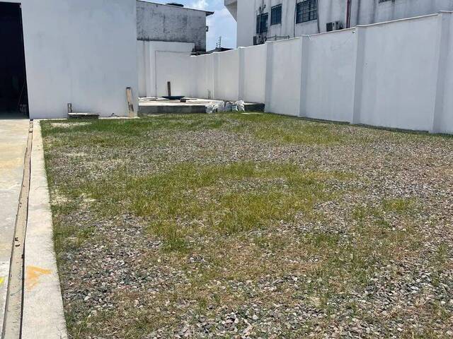 Galpão para Locação em São Paulo - 5