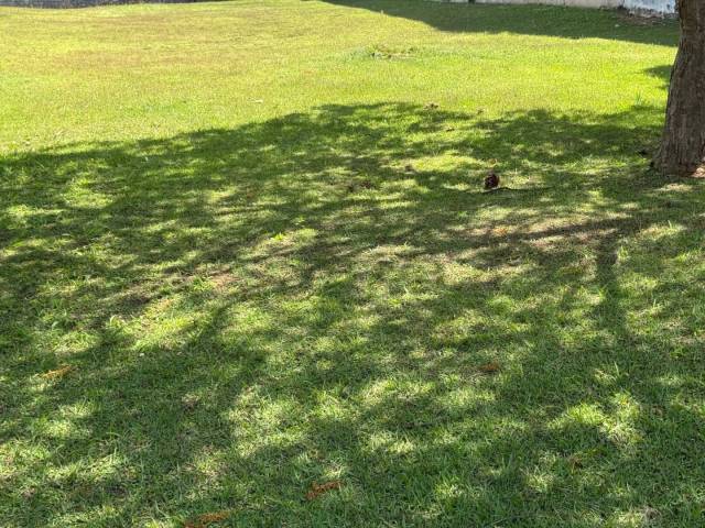 #1805 - Área para Venda em Santana de Parnaíba - SP