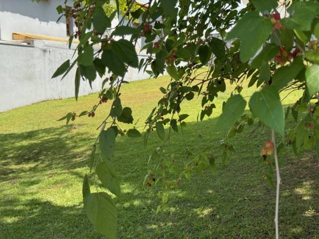 Área para Venda em Santana de Parnaíba - 4
